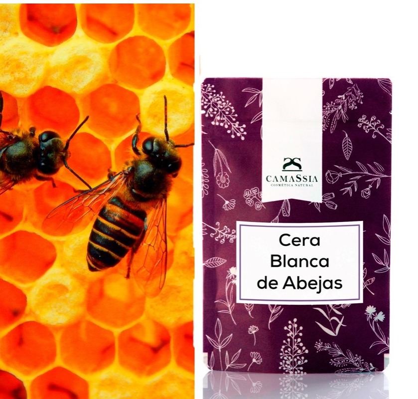 Cera de abeja: conoce sus beneficios, Blog, SPN